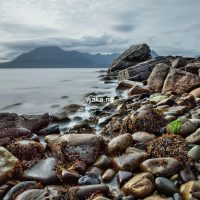 Scottish Shoreline Scottish Shoreline ALT